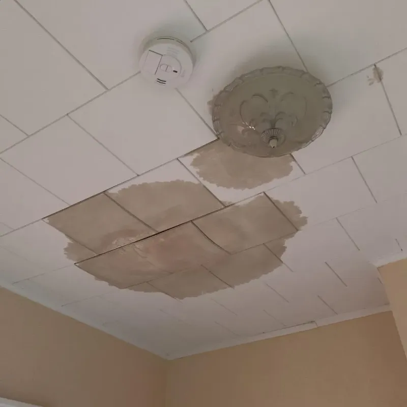 Ceiling Water Damage Repair in Grant County, OK