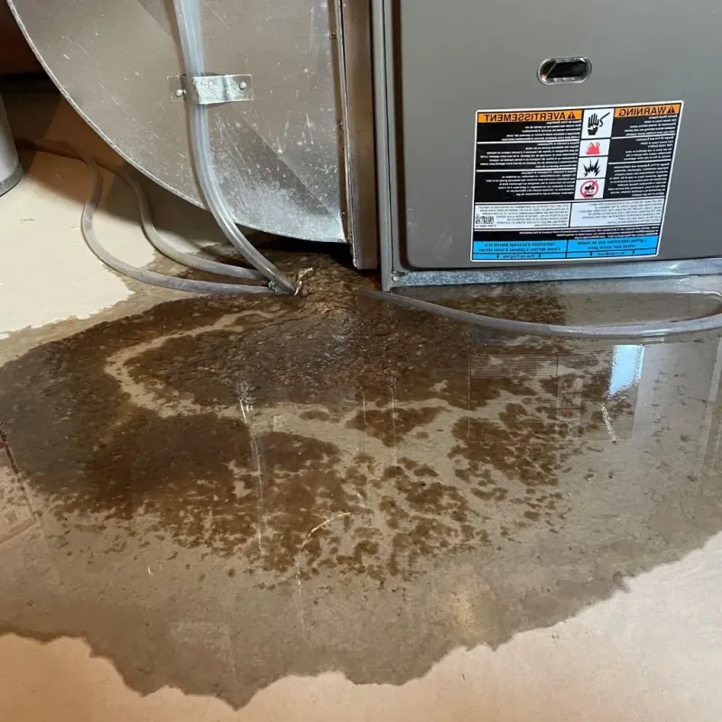 Pipe Burst and Leak Restoration in Grant County, OK